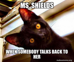 Overly Attached Cat