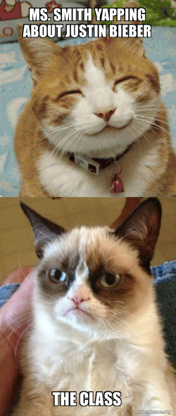 Grumpy Cat vs Happy Cat