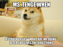 Doge