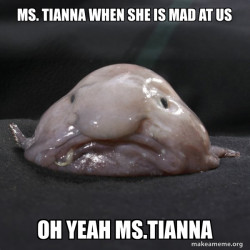Blobfish