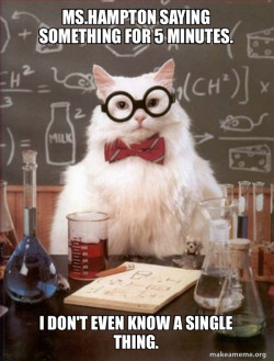 Chemistry Cat