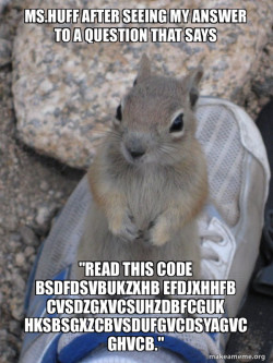 Standover Squirrel