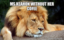 Confession Lion