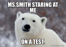 Popular Opinion Polar Bear