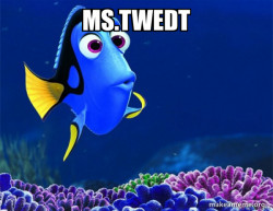 Dory from Nemo  (5 second memory)