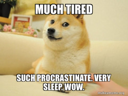 Doge