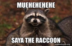 Evil Plotting Raccoon