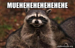 Evil Plotting Raccoon
