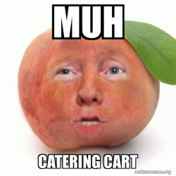Impeached Donald Trump
