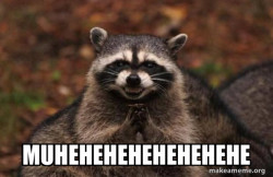 Evil Plotting Raccoon