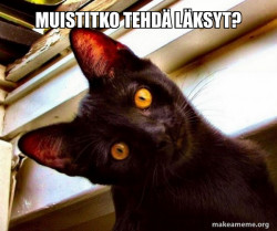Overly Attached Cat