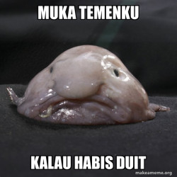 Blobfish