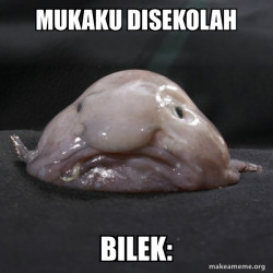 Blobfish