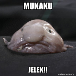Blobfish