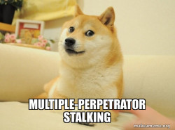 Doge