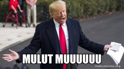 Trump - Impeachment Quid Pro Quo