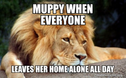Confession Lion