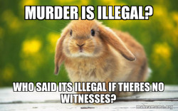 Regretful Rabbit
