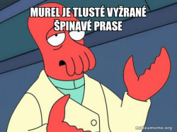 Tricky Zoidberg
