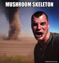 Tornado Guy