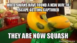 Gourd Advice Mallard
