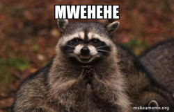 Evil Plotting Raccoon