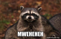 Evil Plotting Raccoon