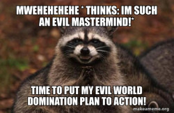 Evil Plotting Raccoon