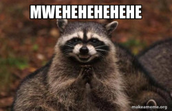 Evil Plotting Raccoon