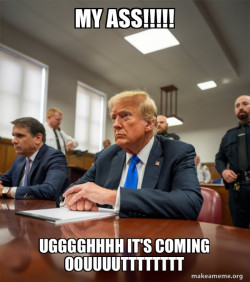 Trump Court Room