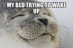 Satisfied Seal