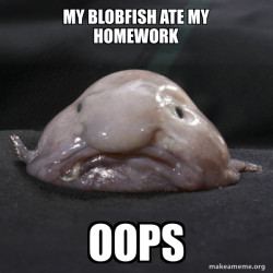 Blobfish
