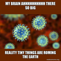 Coronavirus ( COVID-19 )
