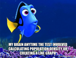 Dory from Nemo  (5 second memory)