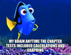 Dory from Nemo  (5 second memory)