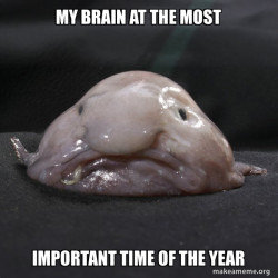 Blobfish