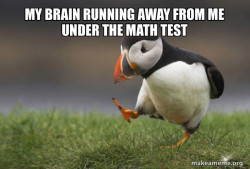 Unpopular Opinion Puffin