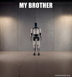 Tesla Robot