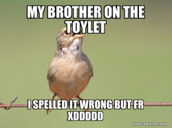 poo poo XDDDD