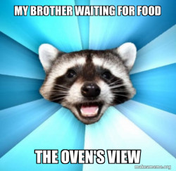 Lame Pun Coon