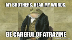 Colonel Toad