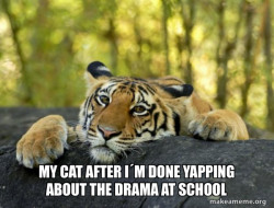 Confession Tiger