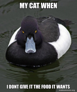 Revenge Duck ( Angry Advice Duck )