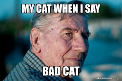 Marriage Advice Grandad