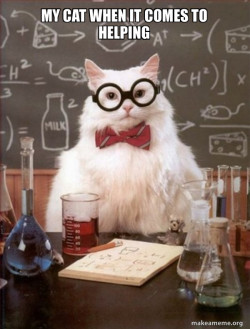 Chemistry Cat