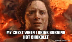 Frodo it's over it's done