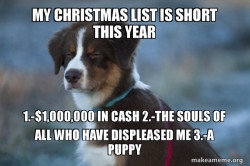 Unsure Dog