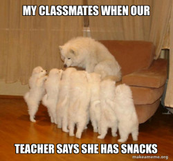 Storytelling Dog