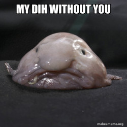 Blobfish
