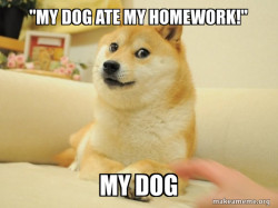 Doge